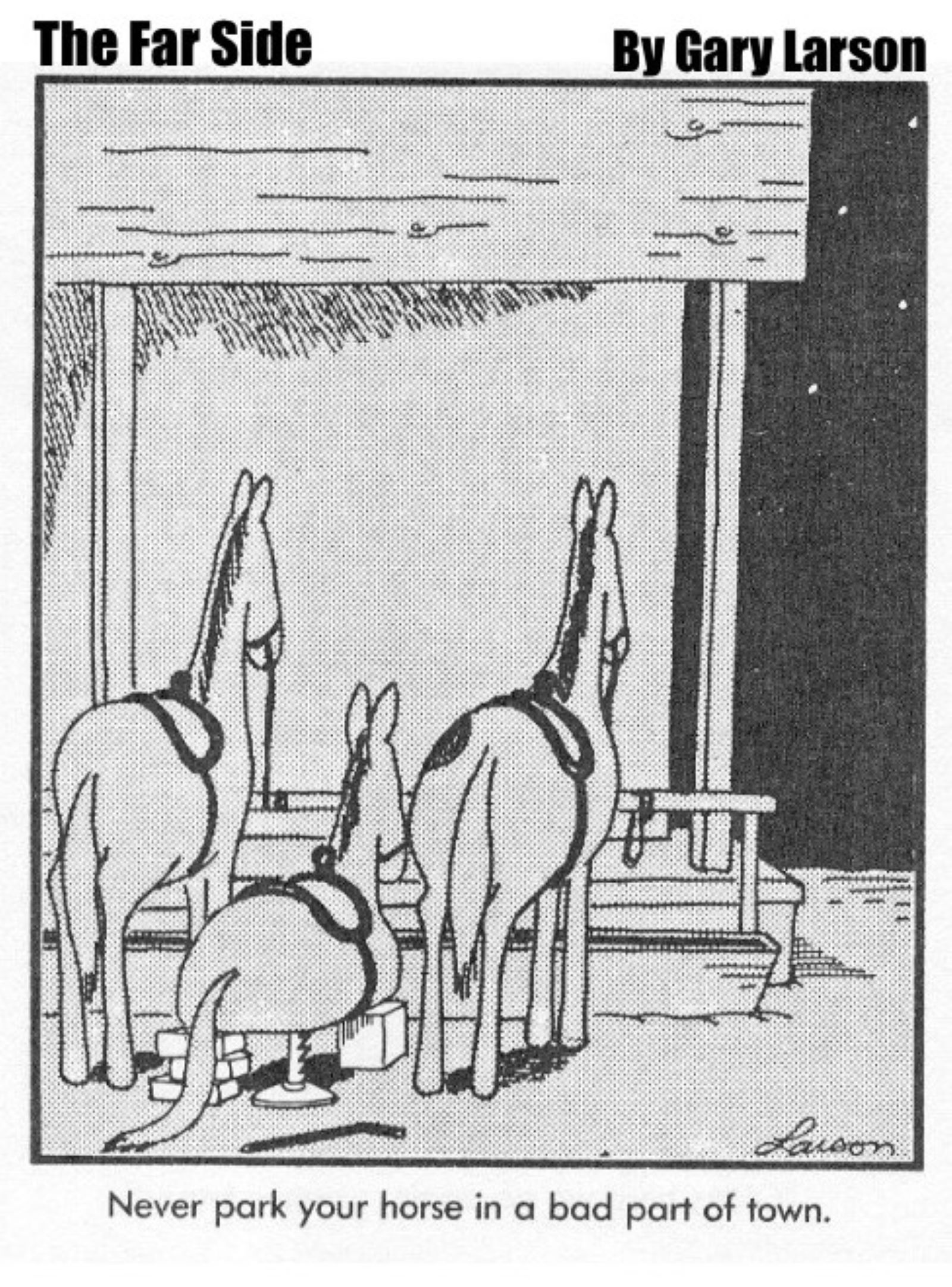Far Side Comic Horse 2