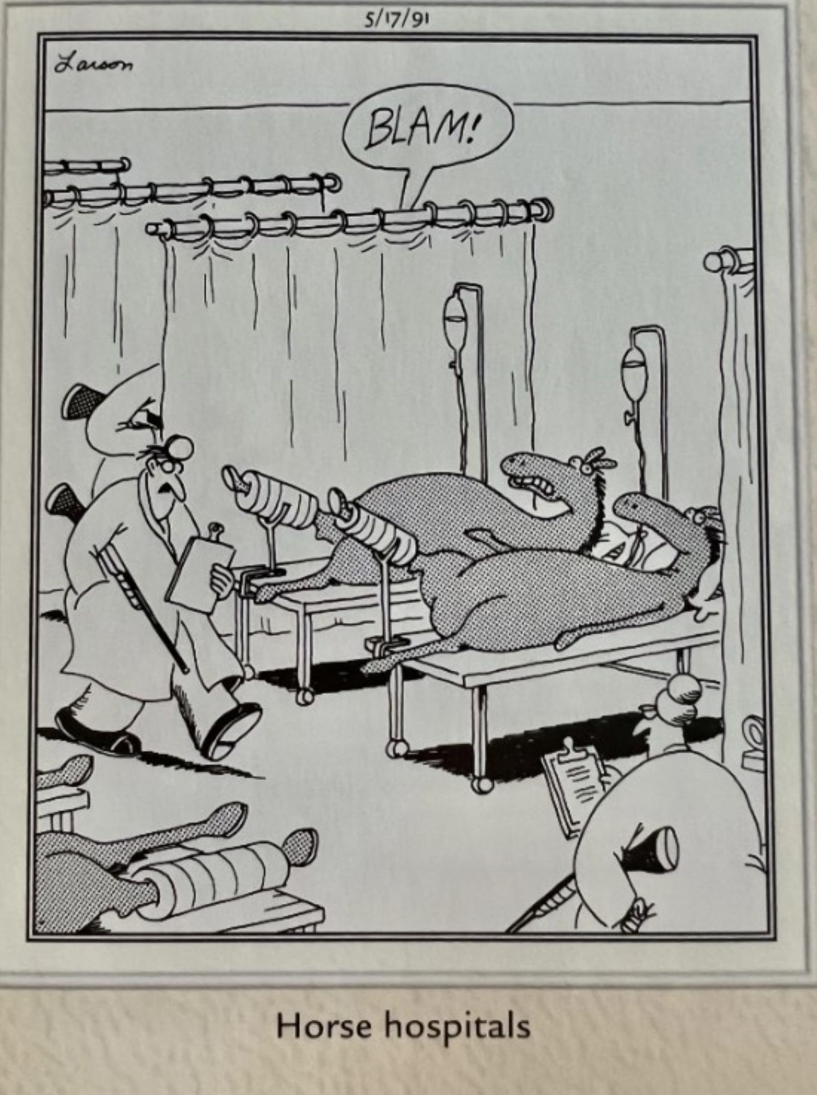 Far Side May 17, 1991, horses in the hospital about to be shot.