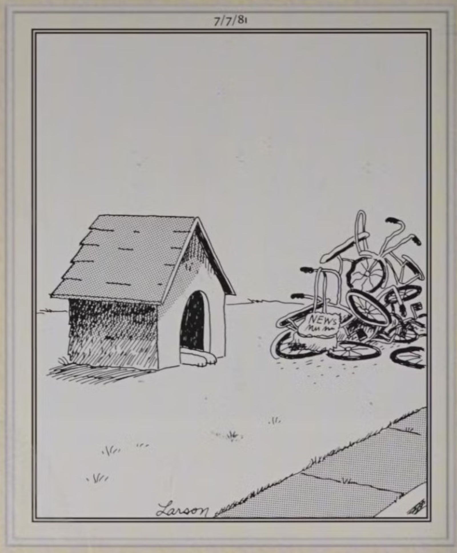Far side dog mail news bikes
