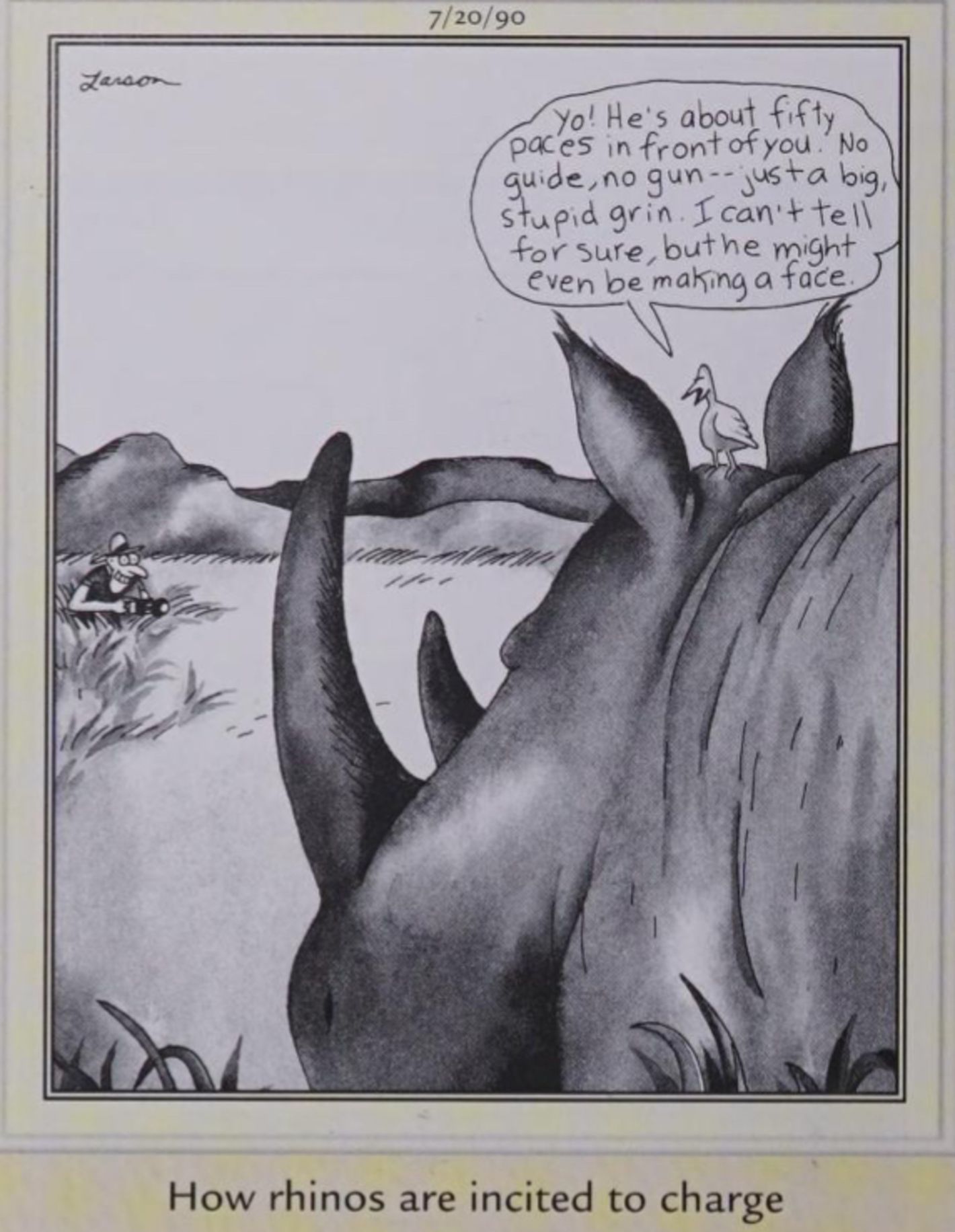 Far Side, July 20, 1990, a bird eggs a rhino on into attacking a safari photographer