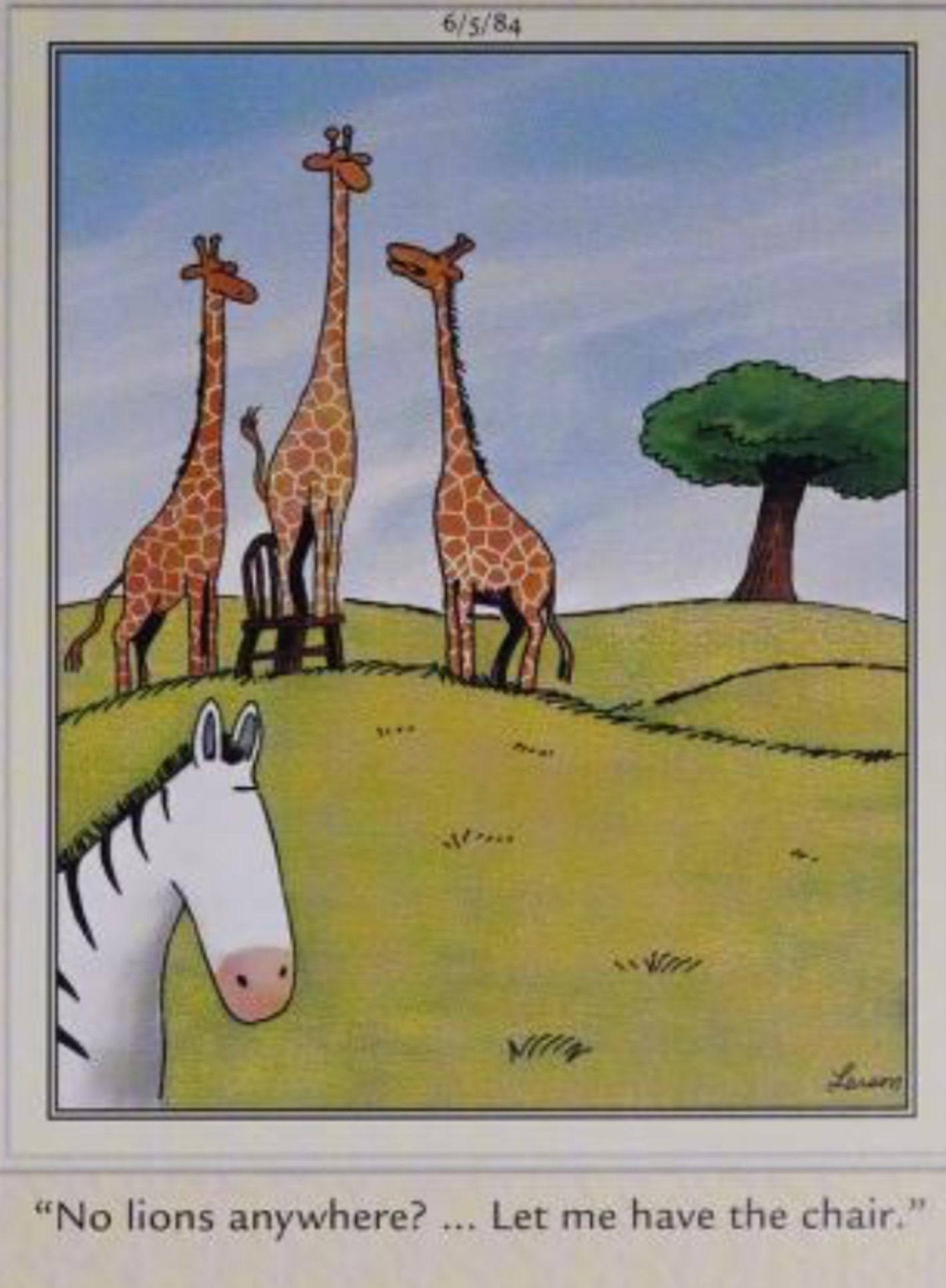 Far Side, June 5, 1984, giraffes stand on a chair looking for lions