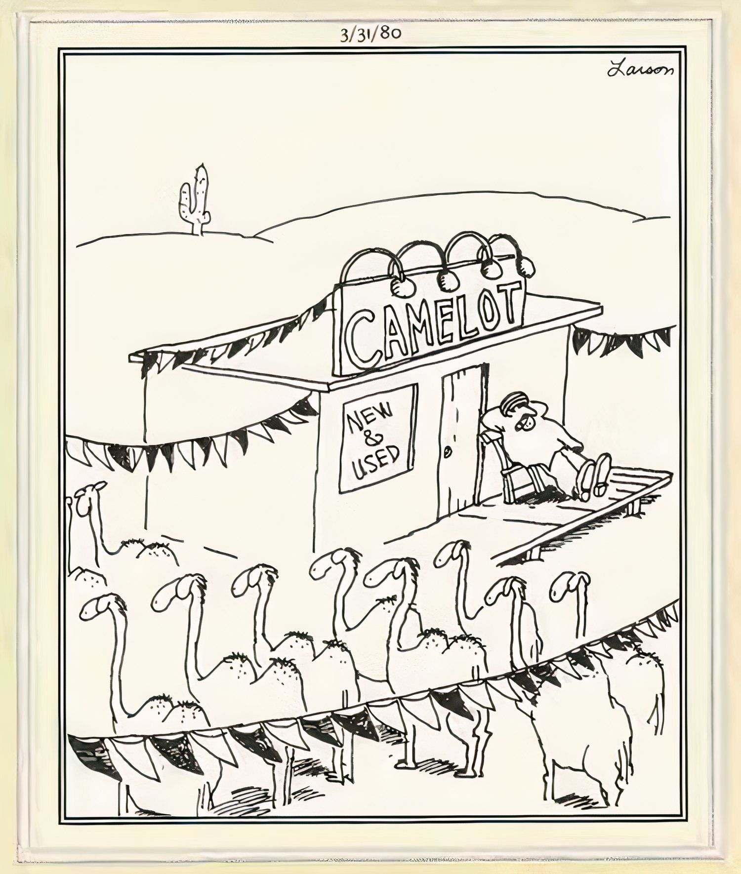 Far Side Man with Camel Lot