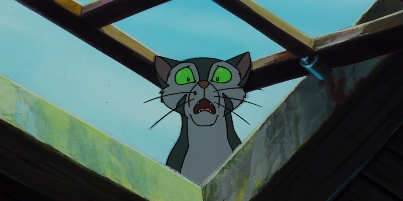 Felidae