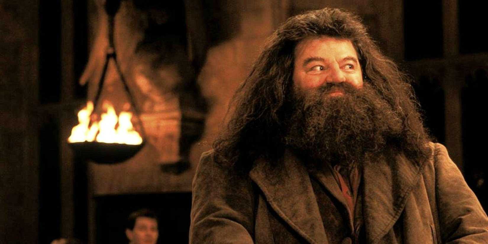 Hagrid smiling in Harry Potter
