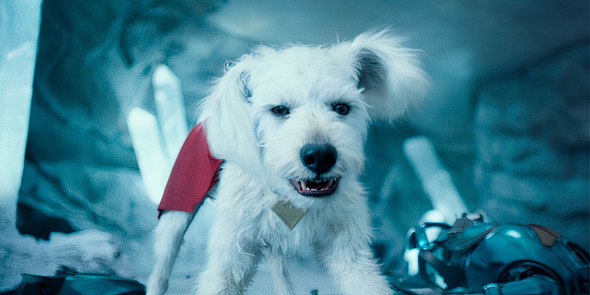 Krypto growls at the enemy of Superman (2025)