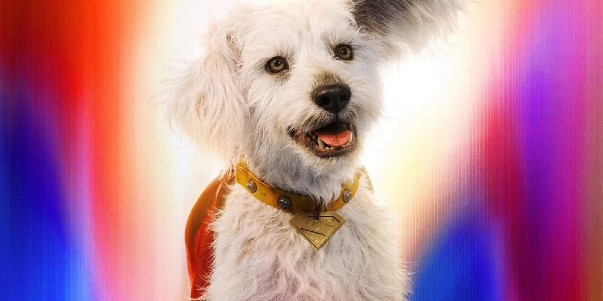 Superman Just Introduced Krypto To The DC Universe, But The Next DC Movie Might Go Full John Wick