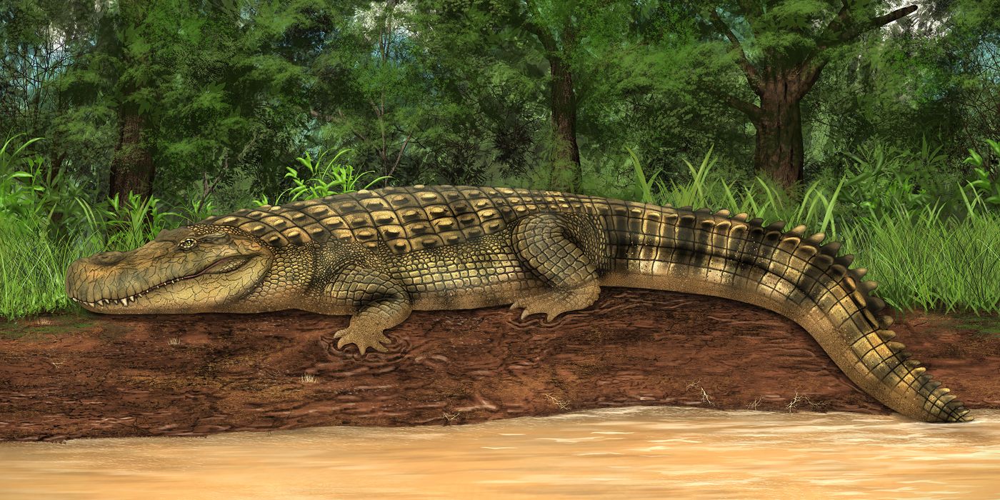 Purussaurus