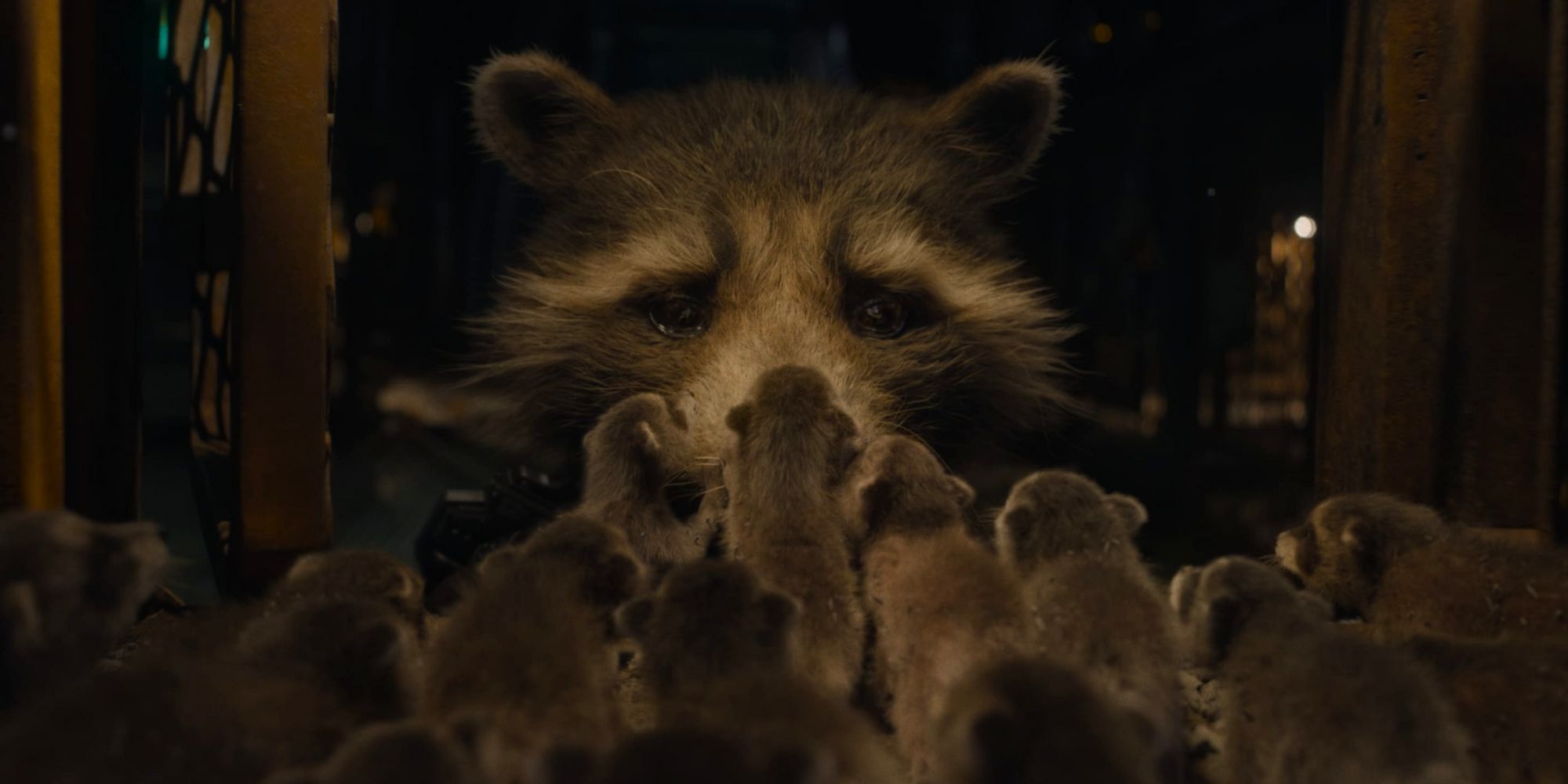 Rocket Raccoon tearfully looks at the baby raccoons in the High Evolutionary's ship in Guardians of the Galaxy Vol. 3 (2023)-1