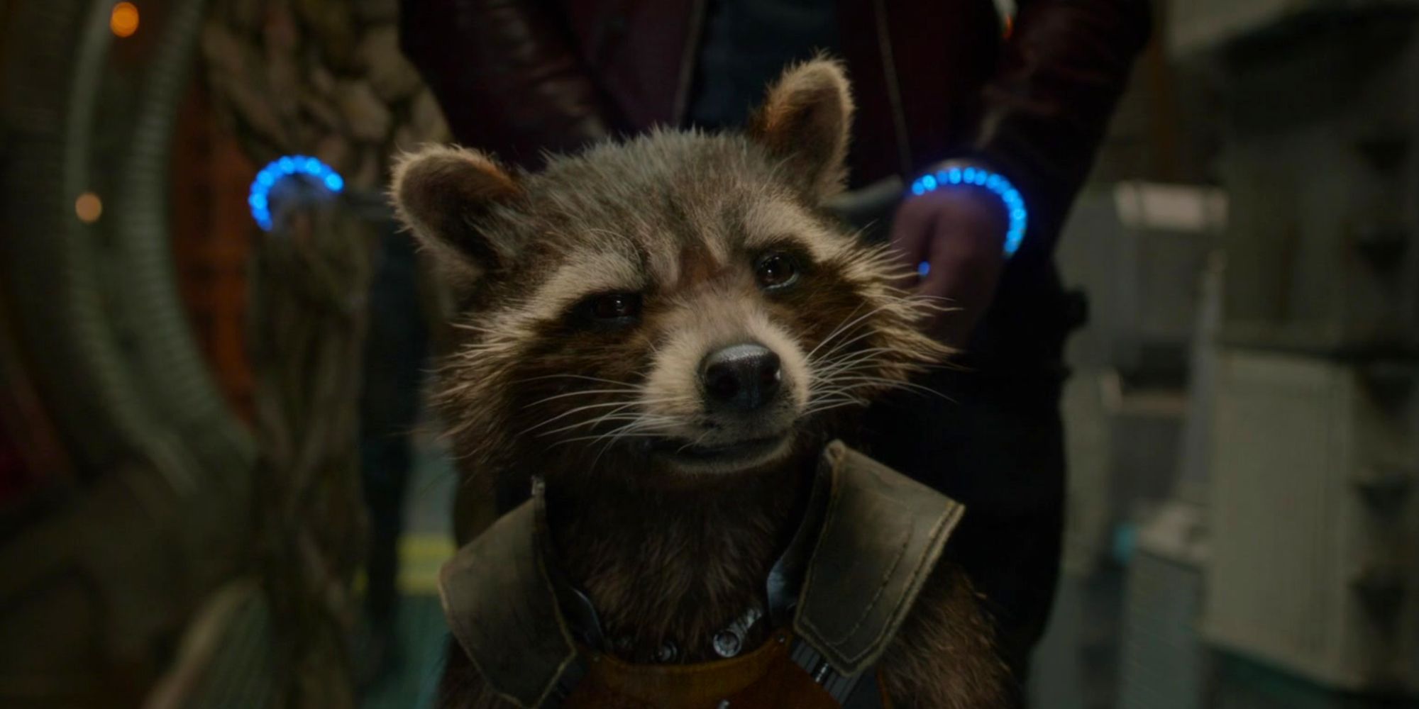 Rocket Raccoon walks into jail with the rest of the arrested Guardians in Guardians of the Galaxy (2014)