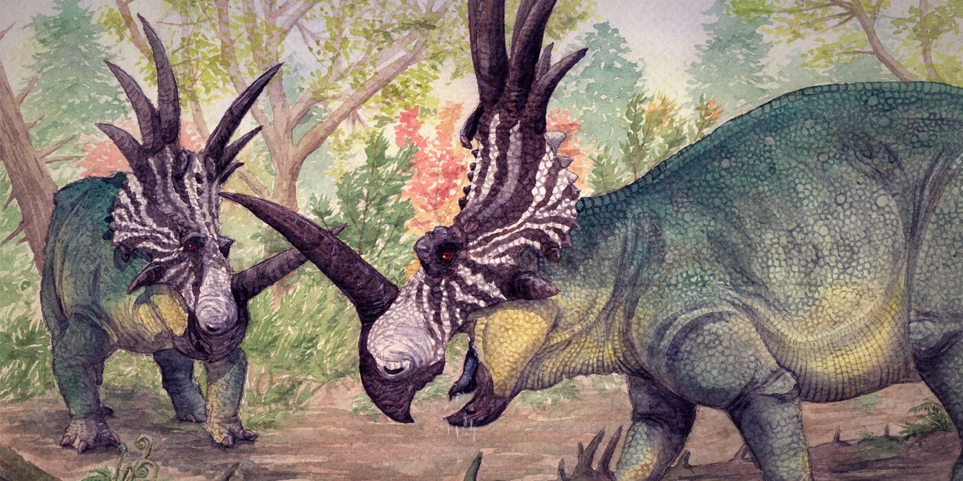 Styracosaurus