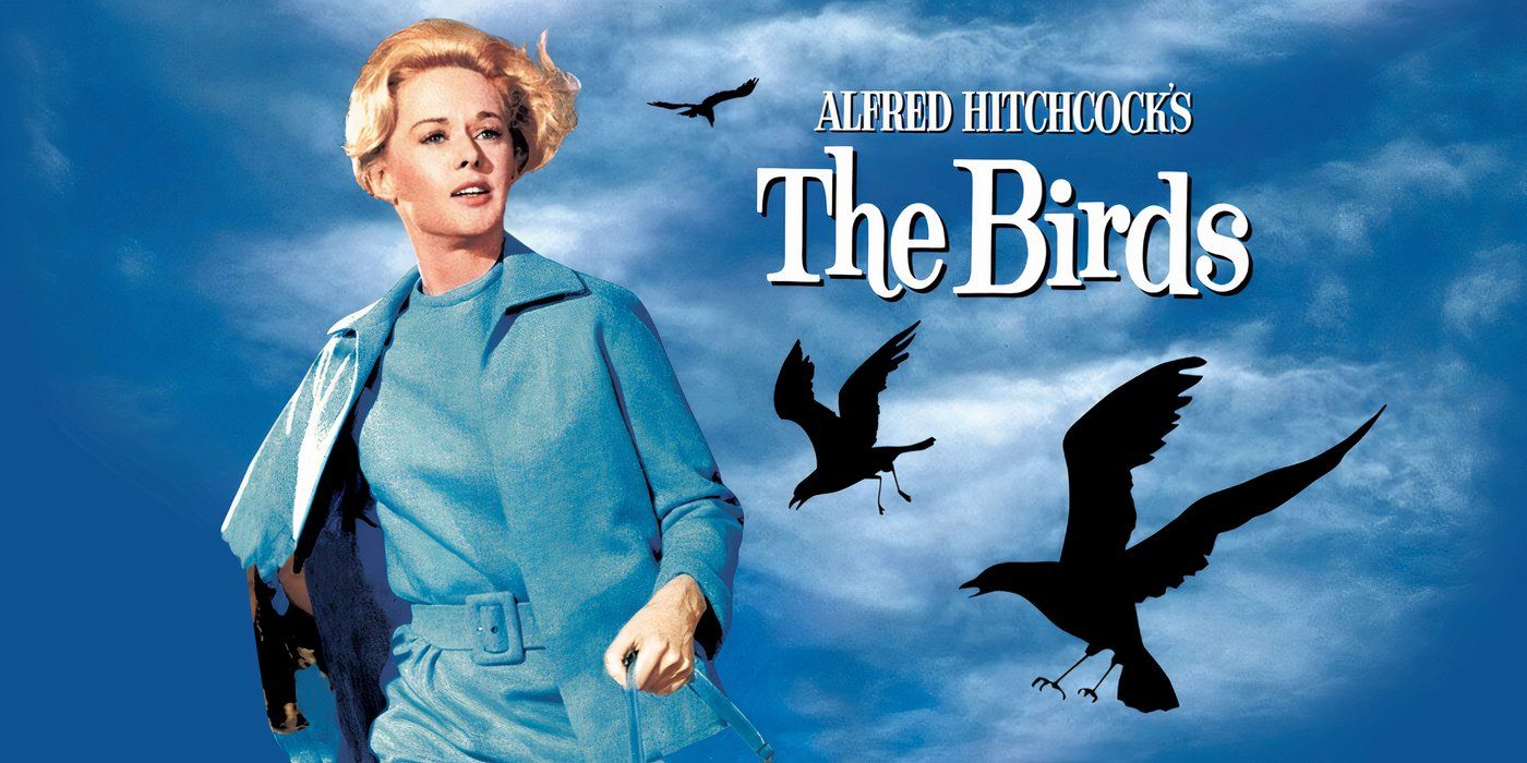 Poster of The Birds