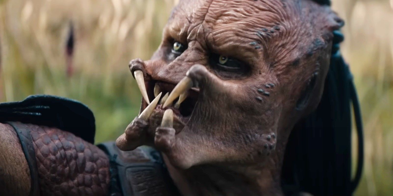 The Predator is staring at an android in Badlands