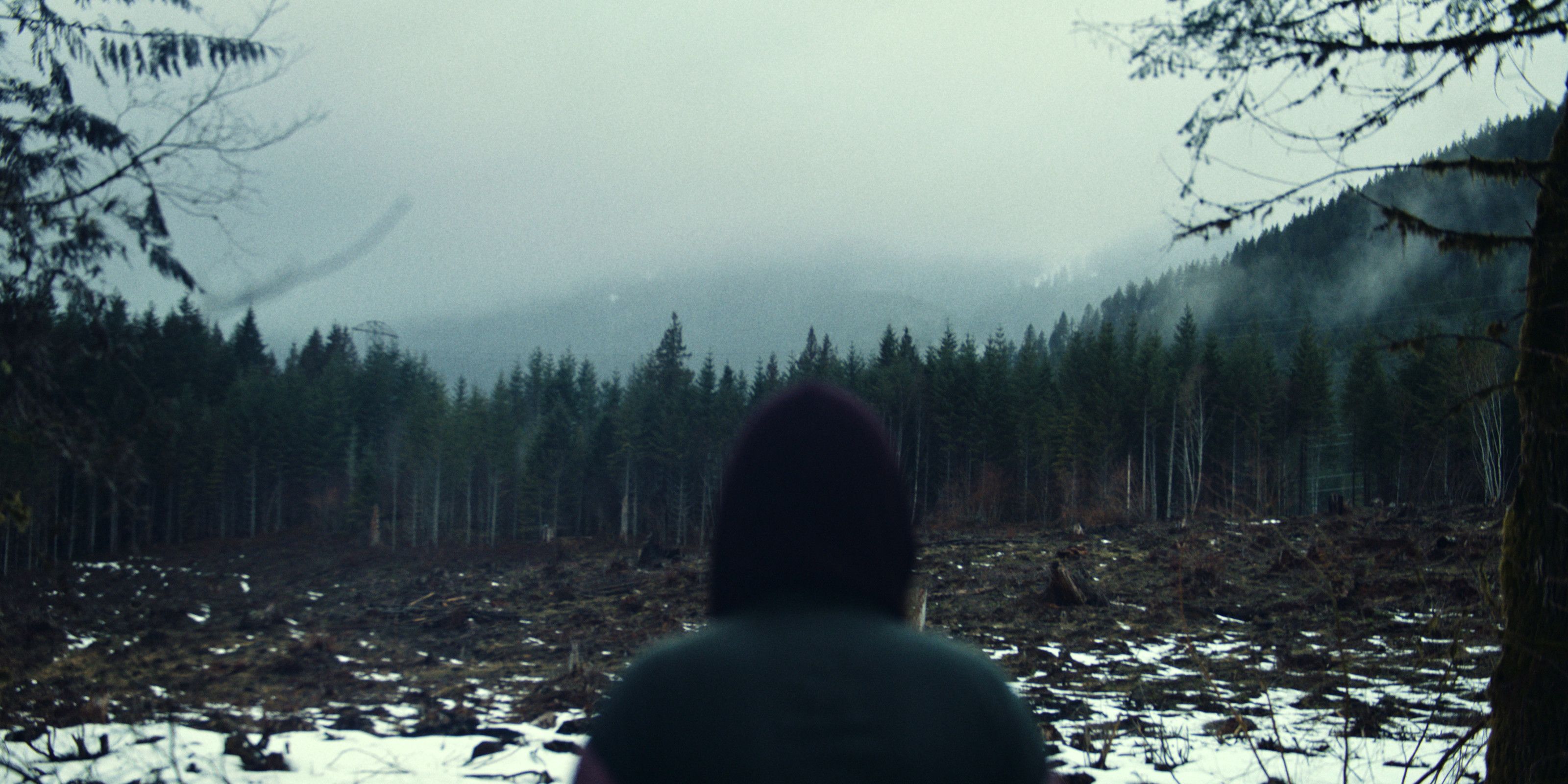 To Kill a Wolf Dani standing against the woods 