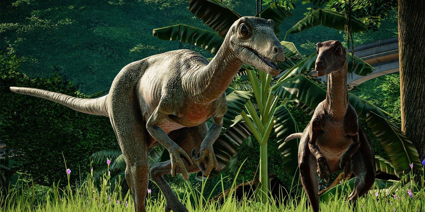 Troodon