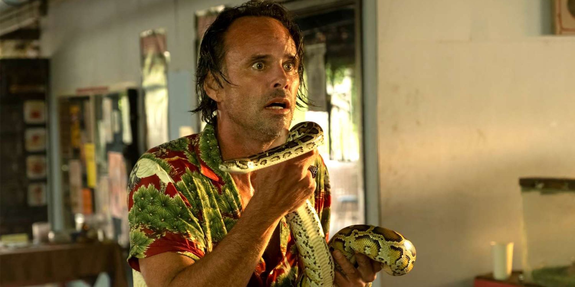 Rick Hatchett (Walton Goggins) holding a snake and looking scared in The White Lotus.