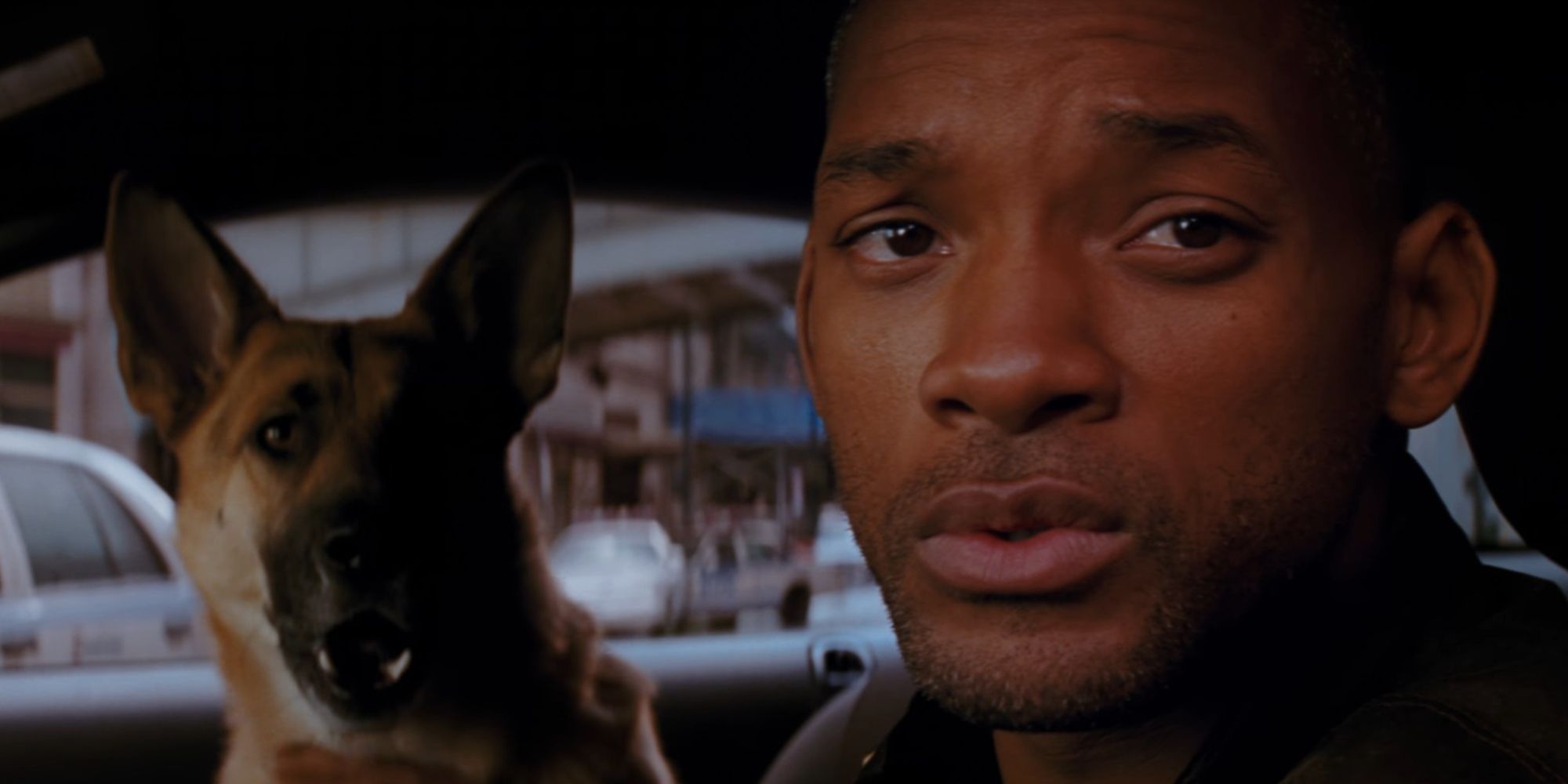Will Smith as Dr Robert Neville with Sam in I Am Legend