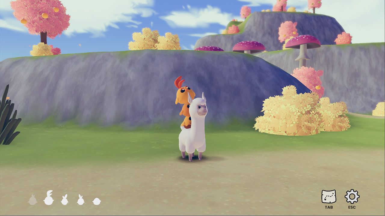 Alpaca Stacka alpaca with chickens stacked on her back