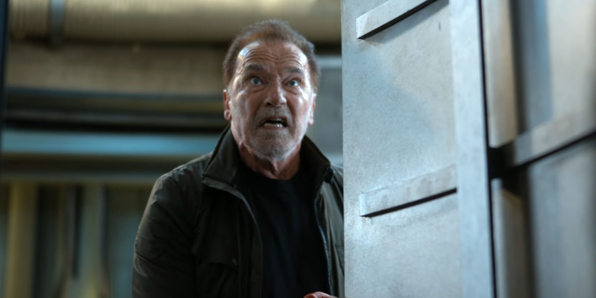 Arnold Schwarzenegger’s Netflix Present Cancelled After Two Seasons