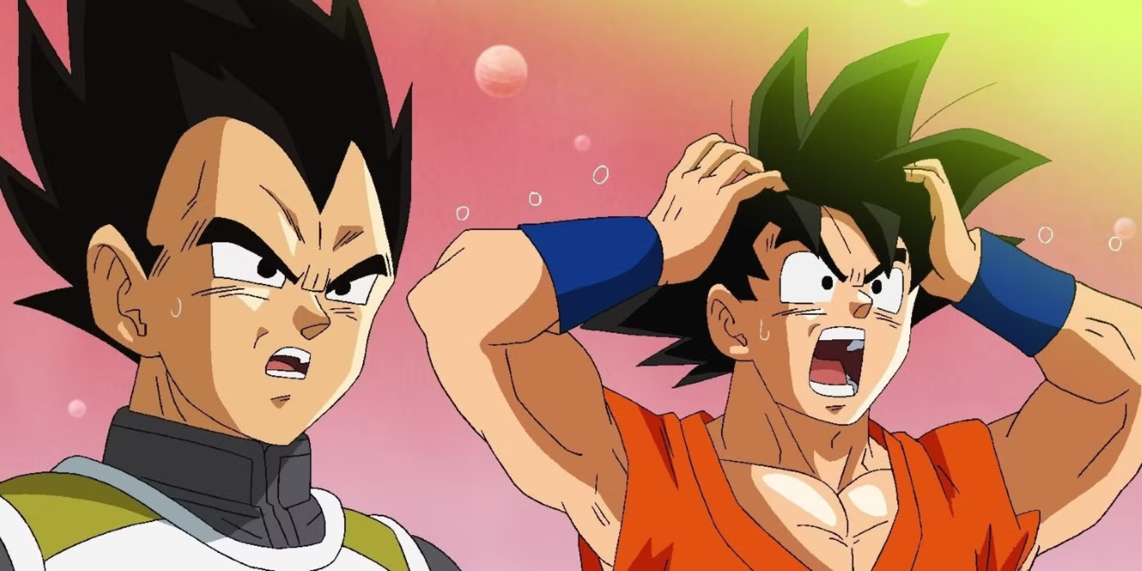 Dragon Ball Goku and Vegeta Looking Shocked