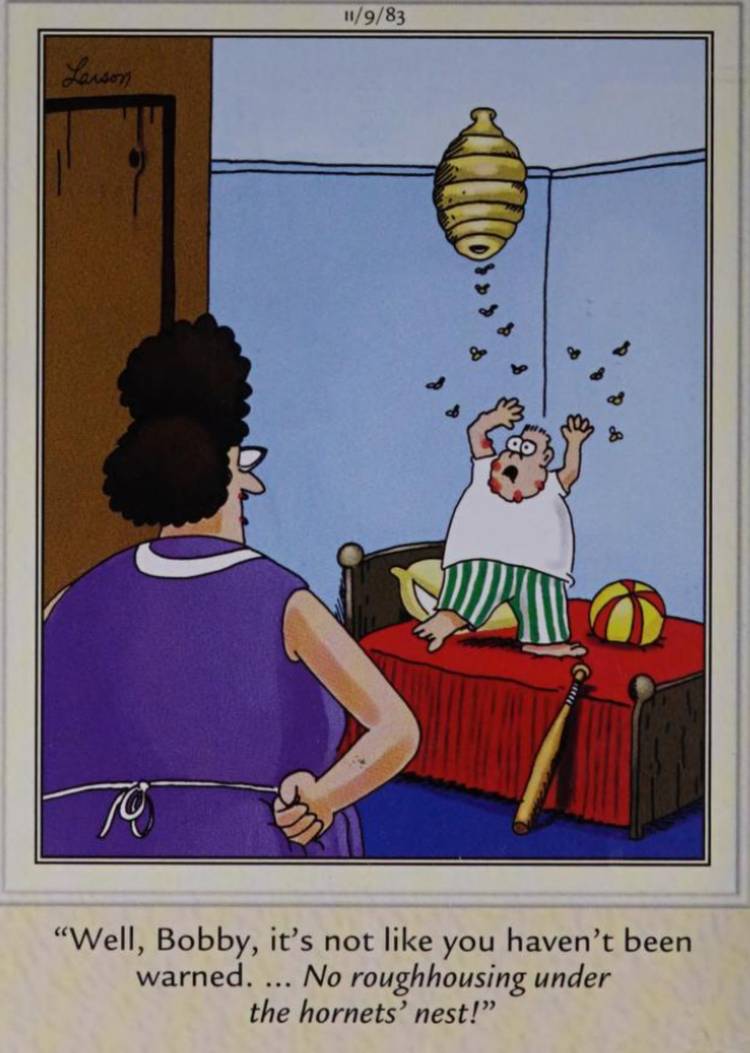 Far Side, November 9, 1983, a kid being stung by hornets from a nest over his bed