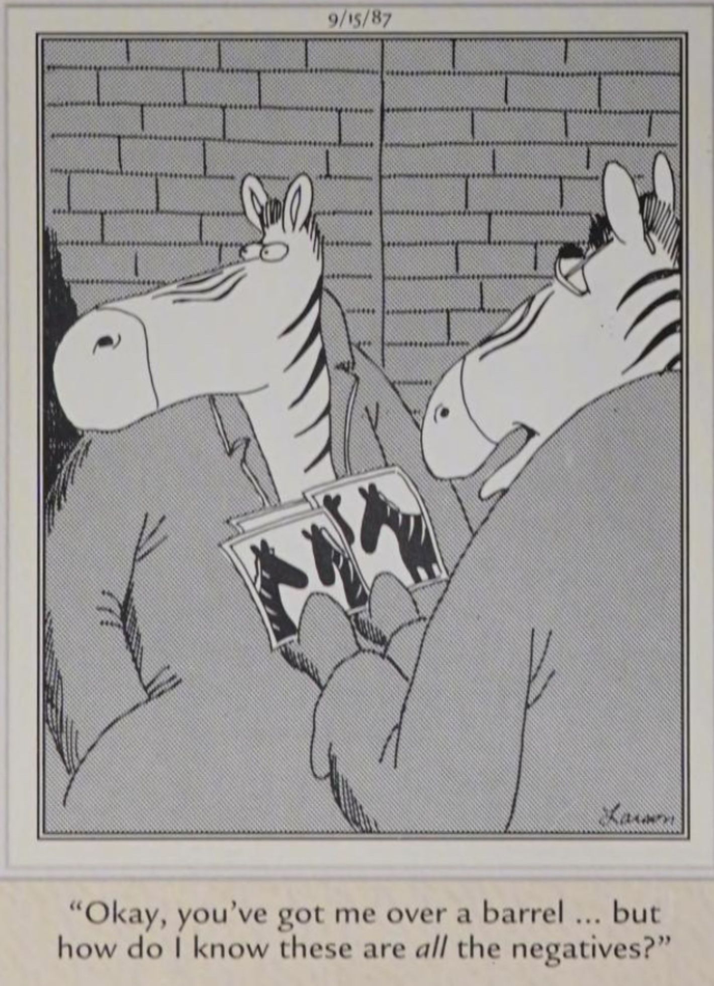 Far Side, September 15, 1987, zebre misteriose