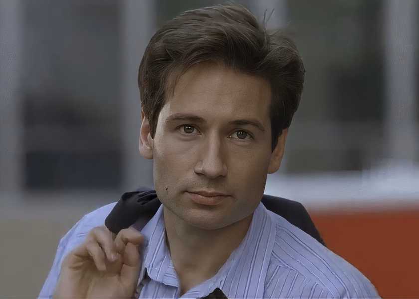 David Duchovny as Fox Mulder in X-Files