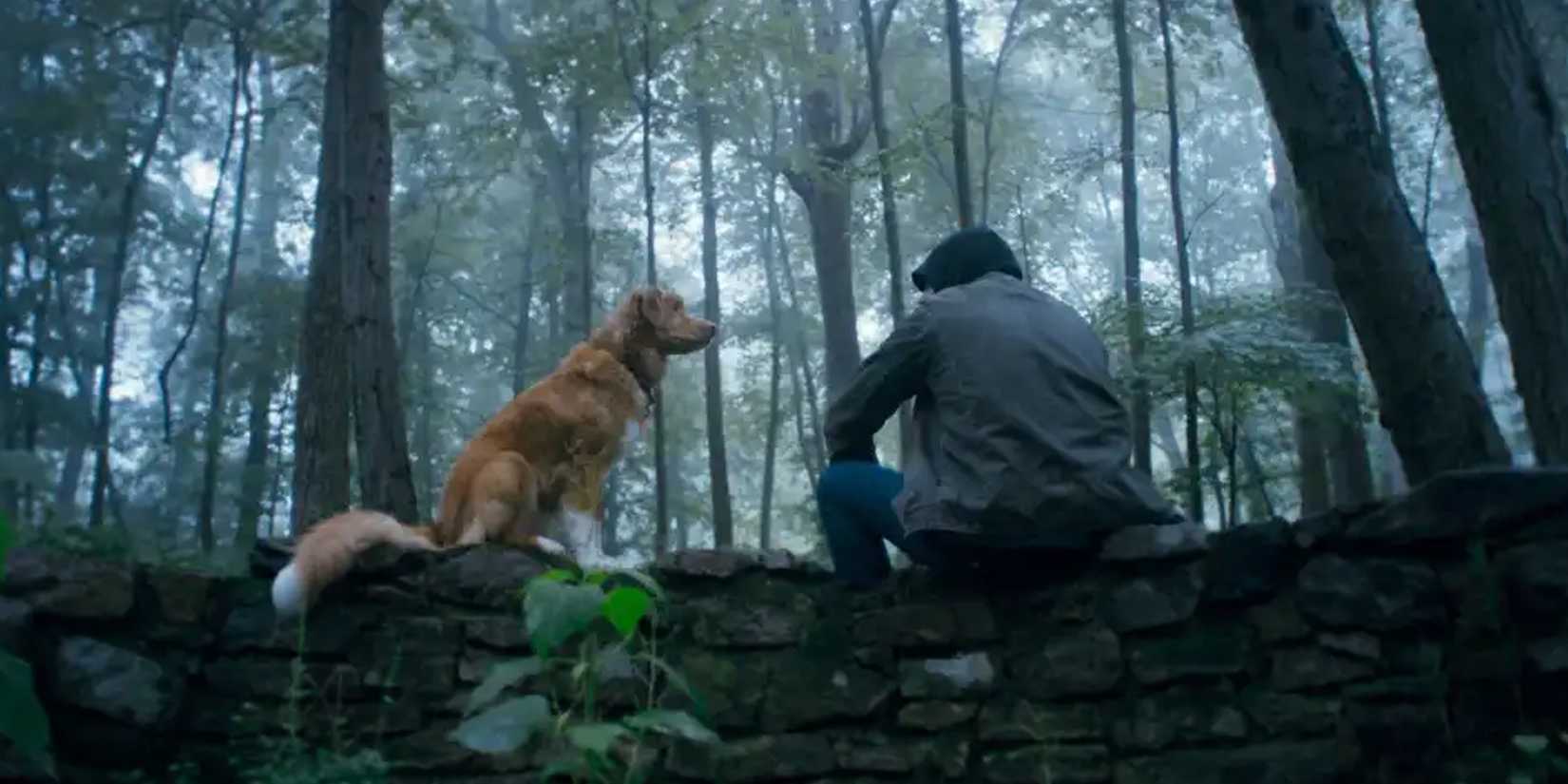 good boy movie dog