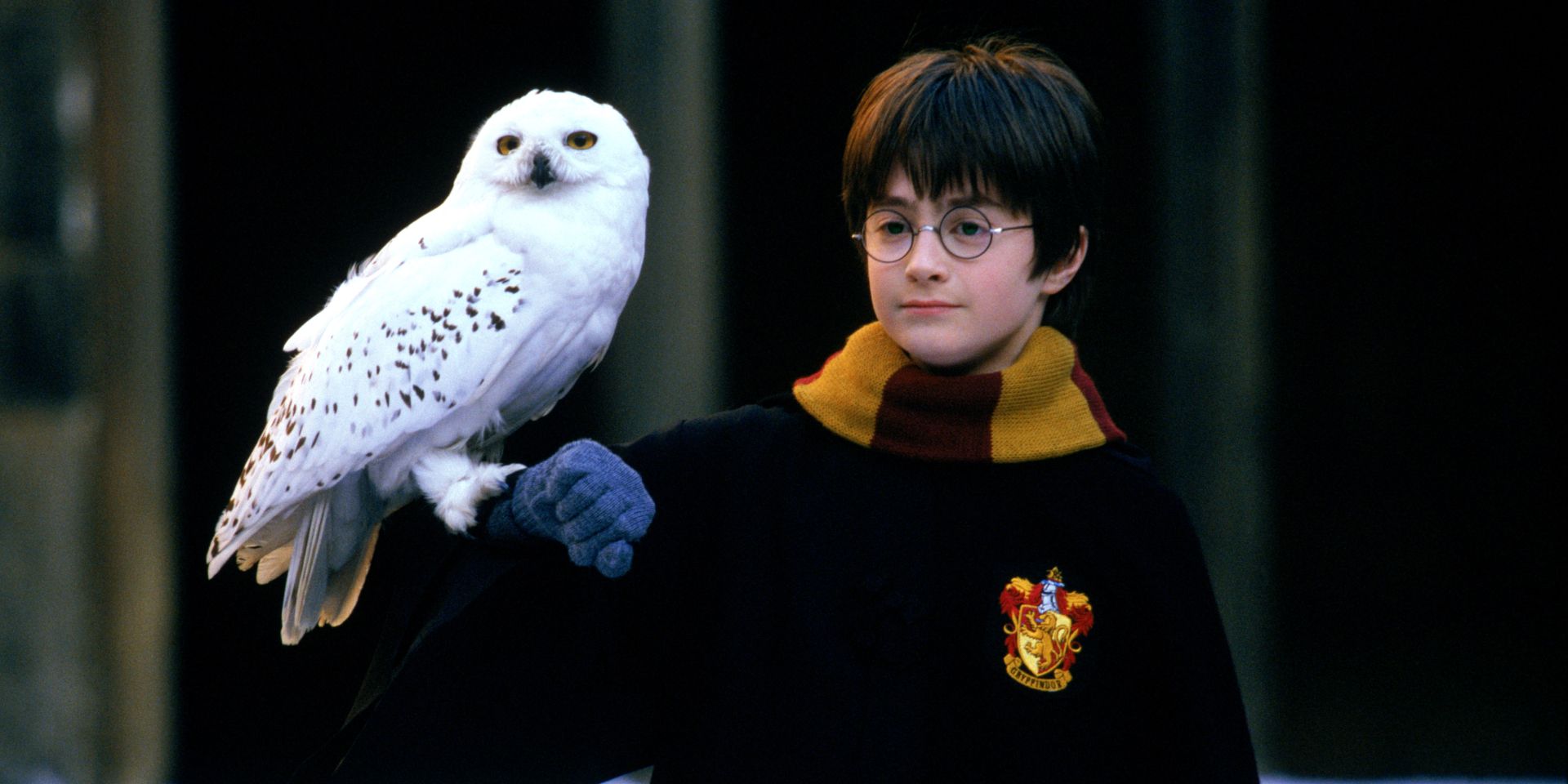 HBO #39 s Harry Potter TV Show: Early Appearances of Key Characters HBO #39 s Harry Potter TV Show: Early Appearances of Key Characters