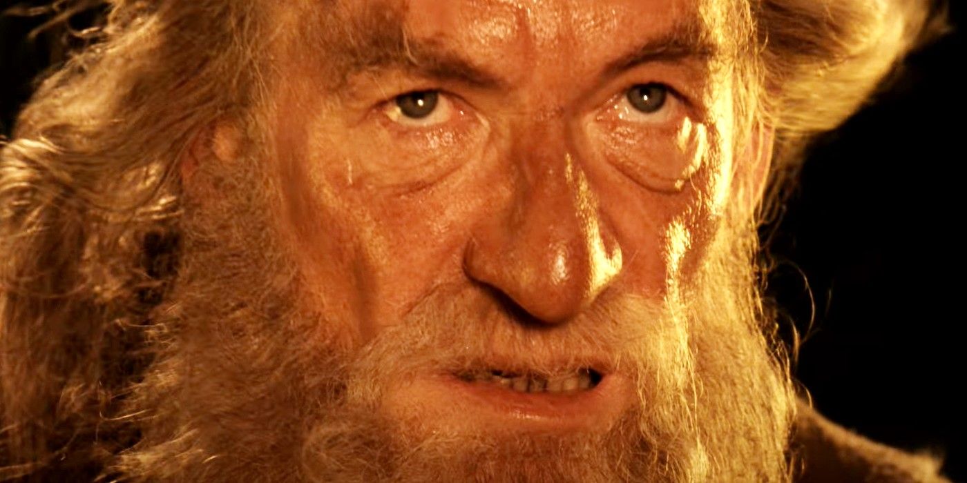 Ian McKellen as Gandalf facing the Balrog in The Lord of the Rings