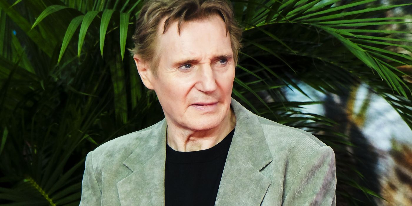 Liam Neeson Comedy Reboot Hits $60M Box Office Milestone in 2 Weeks