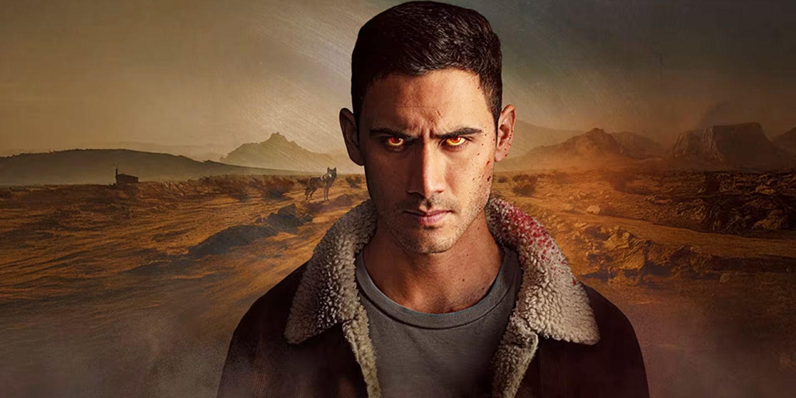 Lupe con occhi gialli in un deserto, poster di Coyotl: Hero & Beast