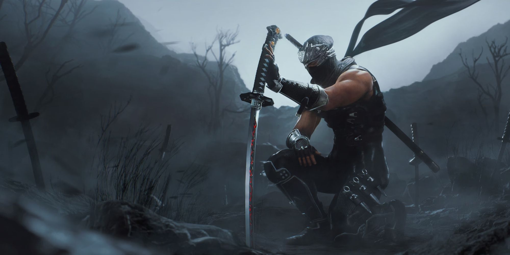 Ryu in Ninja Gaiden Black.
