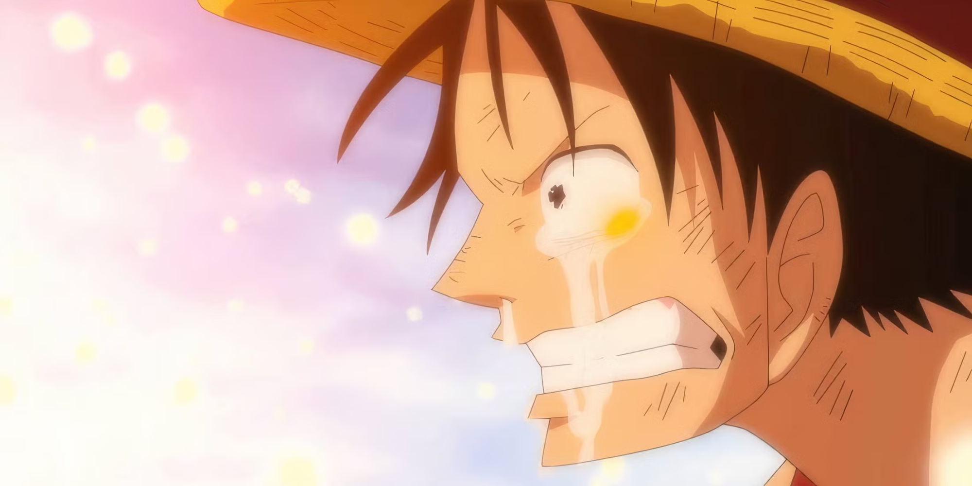 One Piece Movies, TV Specials to Leave Netflix in September 2025