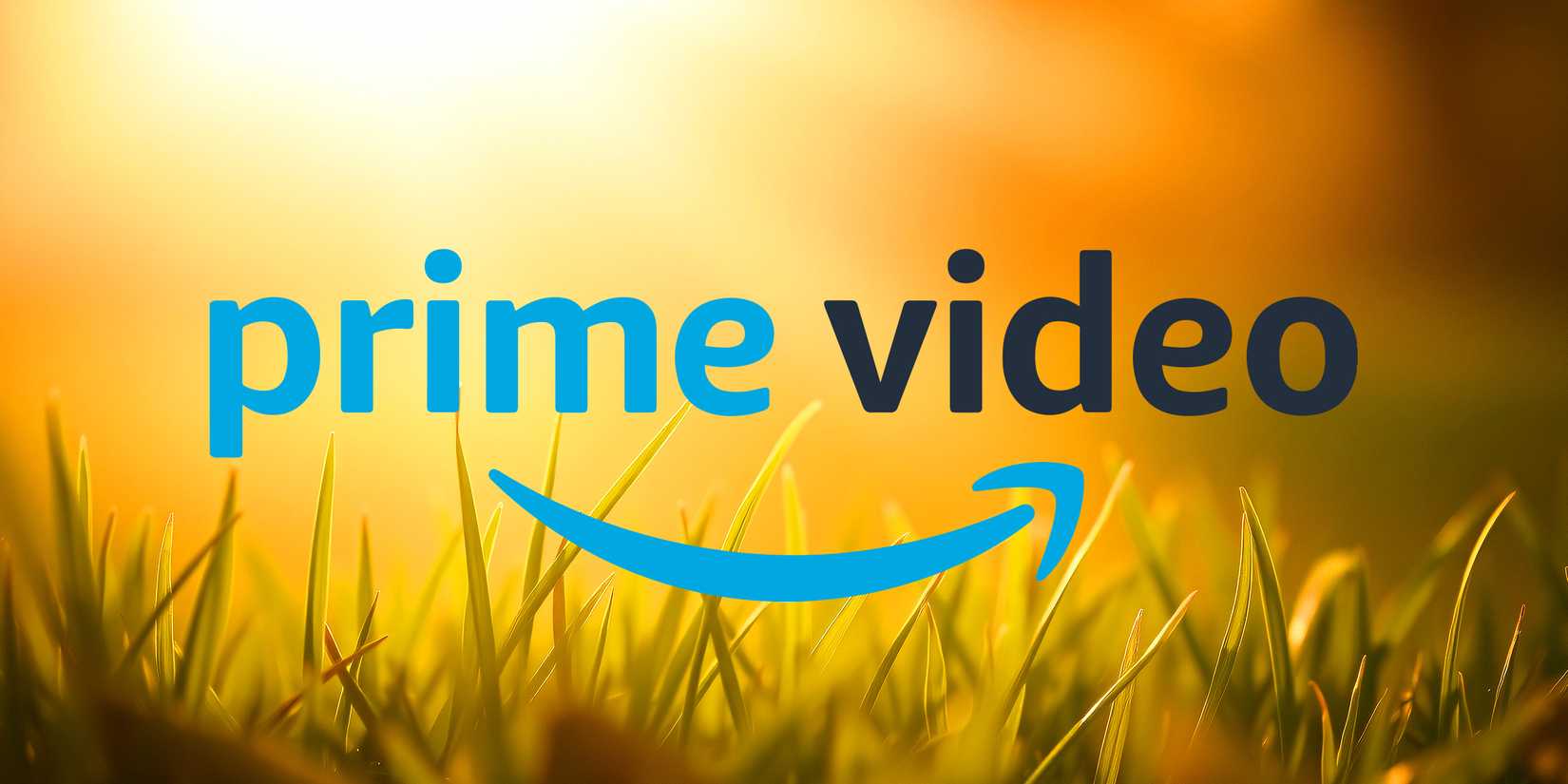 Prime Video logo in summer grᴀss
