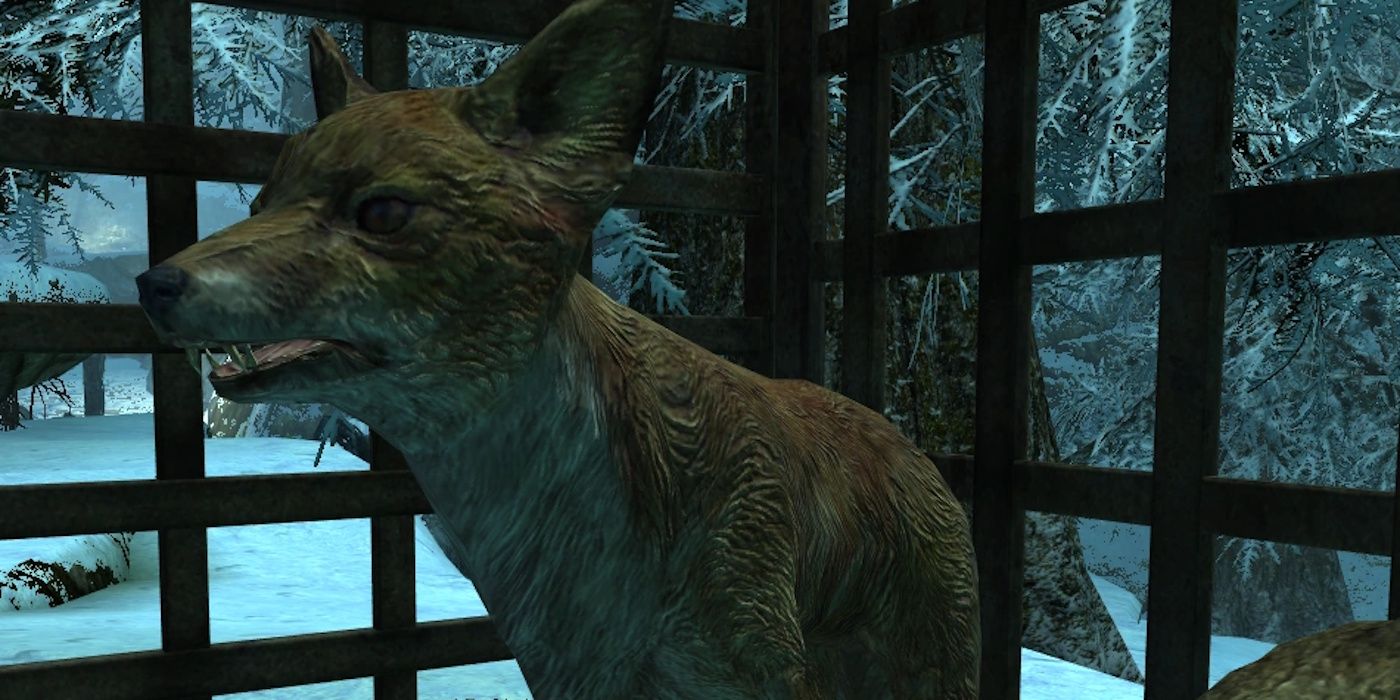 Pumpkin the fox in a cage in Skyrim