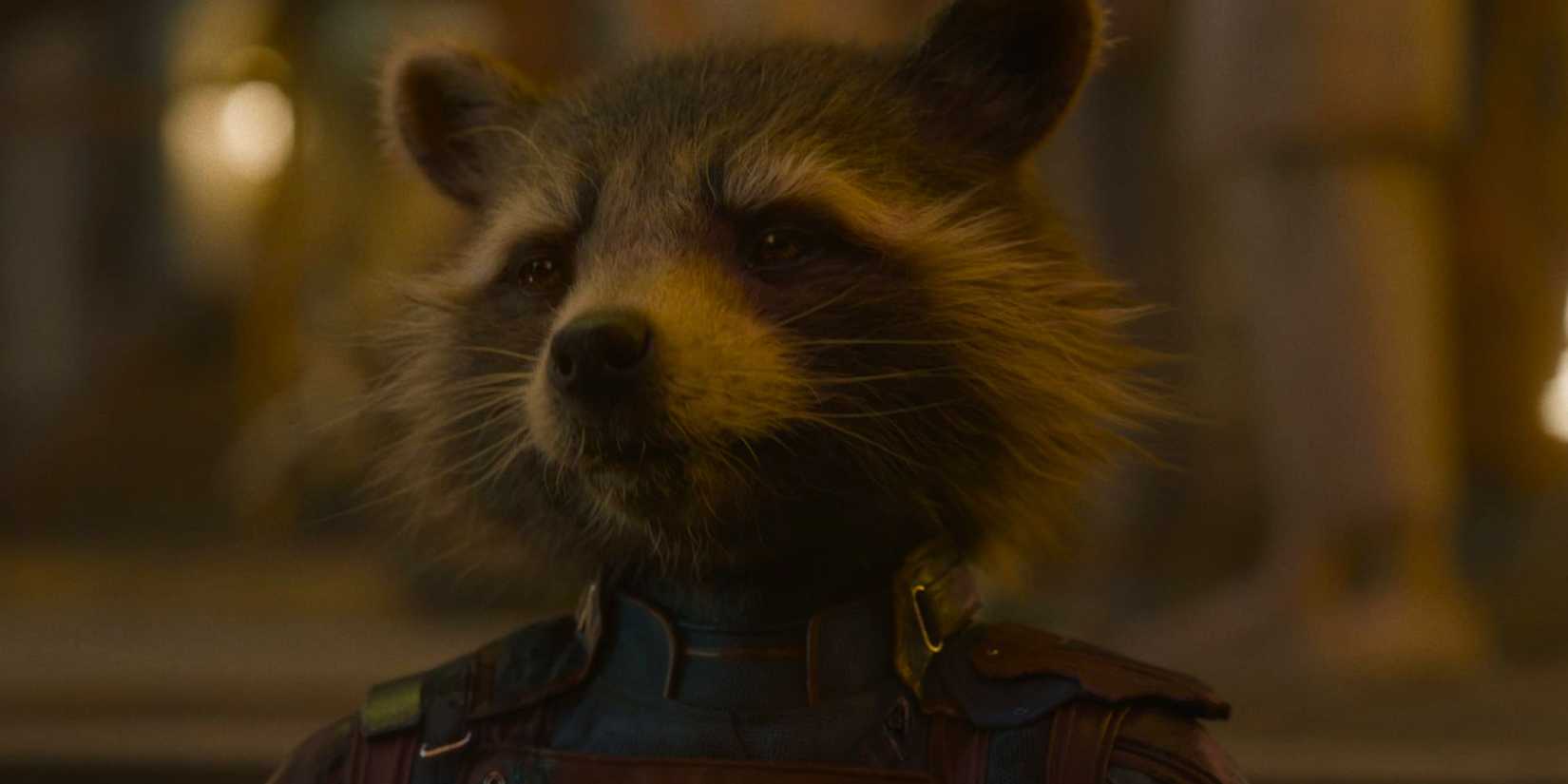Rocket Raccoon looks pensive at the end of Guardians of the Galaxy Vol. 3 (2024(