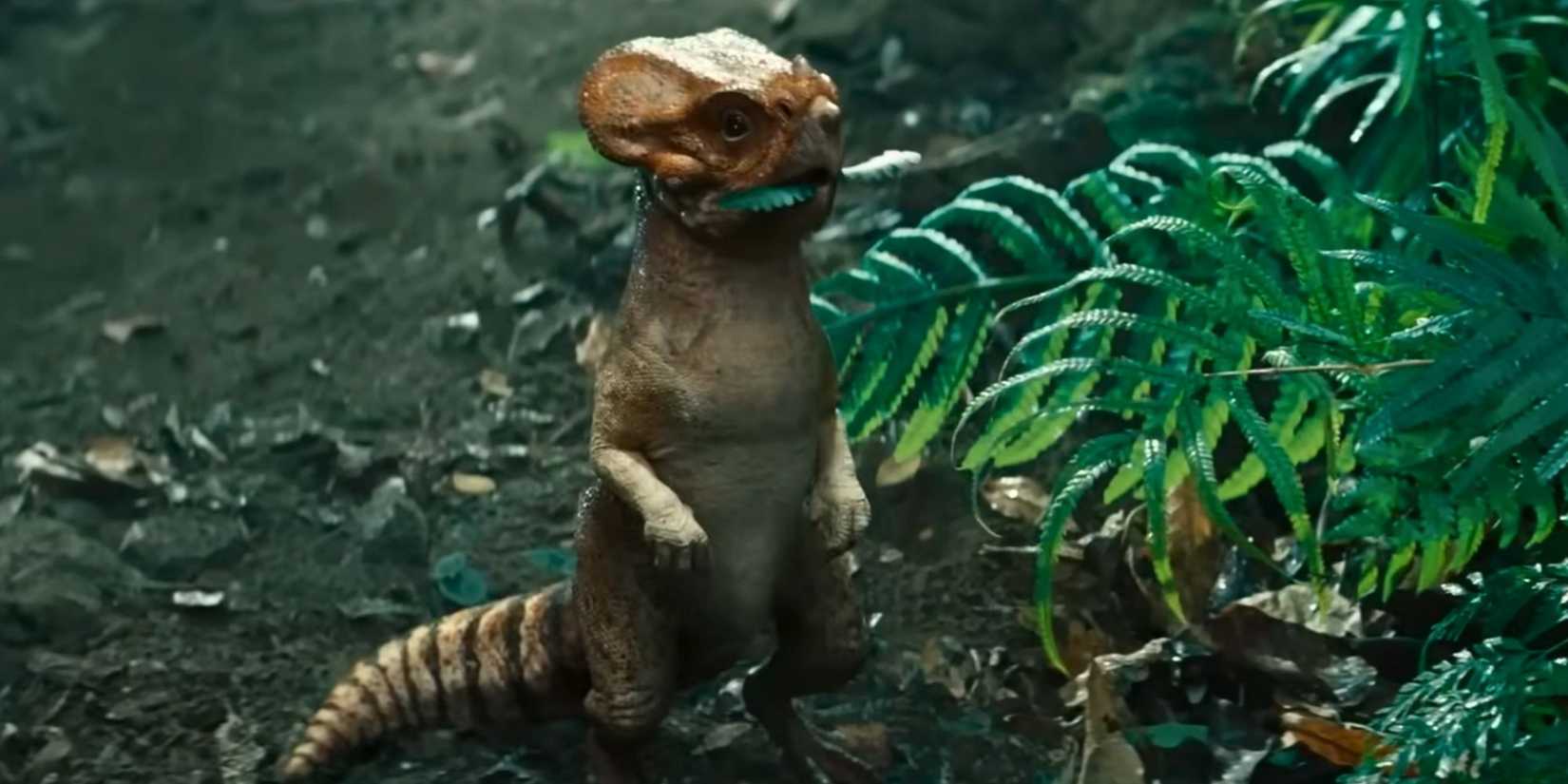 Dolores from Jurᴀssic World Rebirth