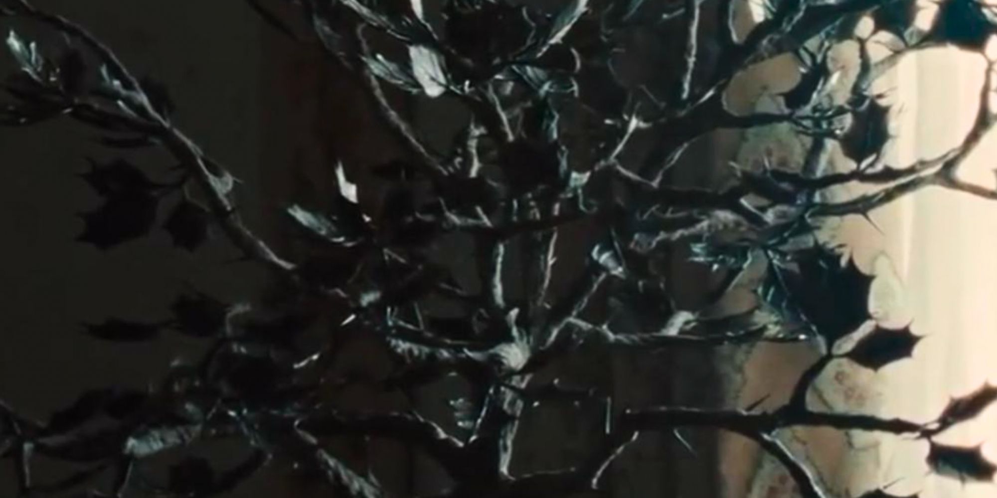 Gladys' blackthorn tree in Weapons