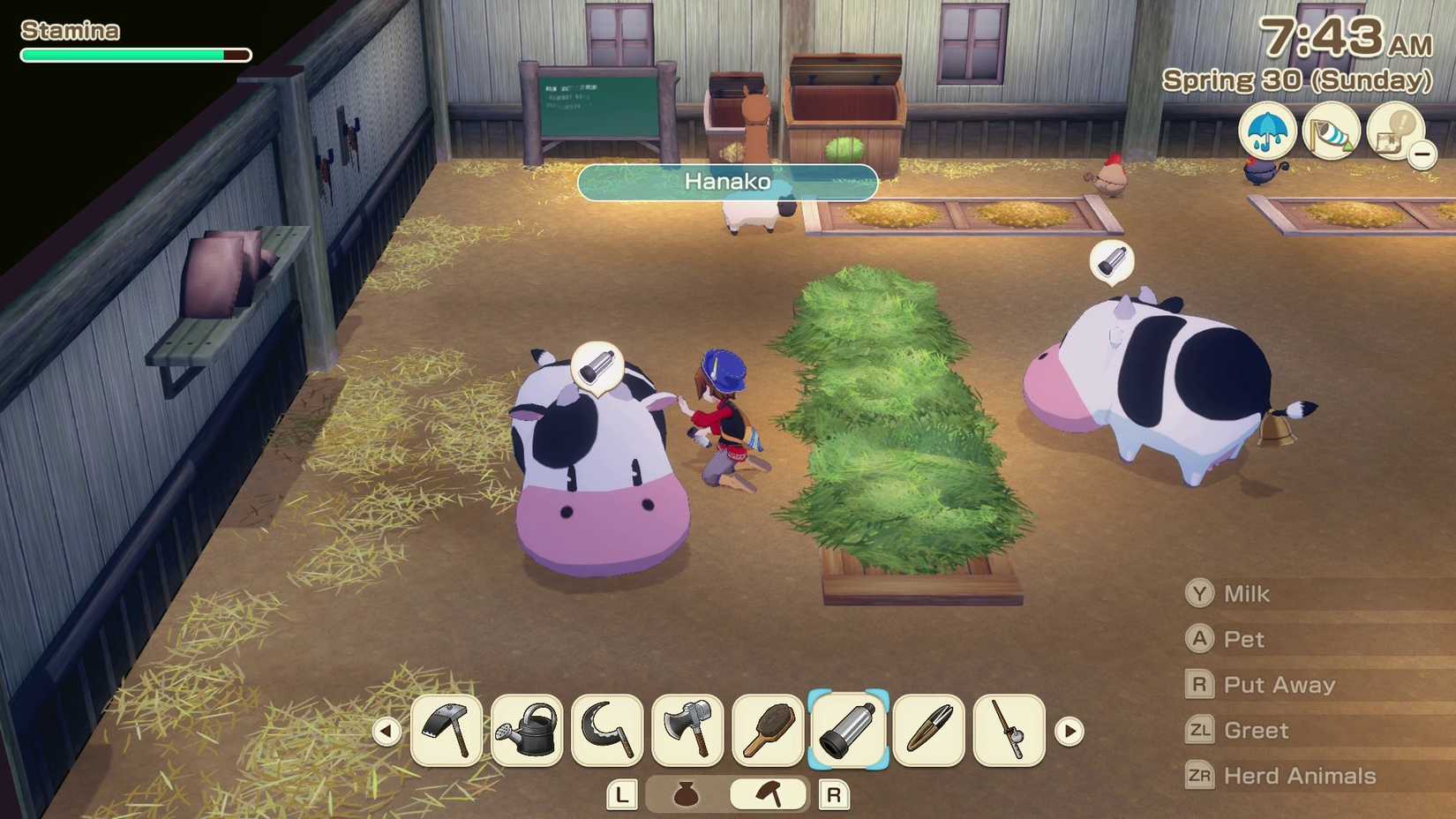 Story of Seasons Grand Bazaar Player traite une vache.
