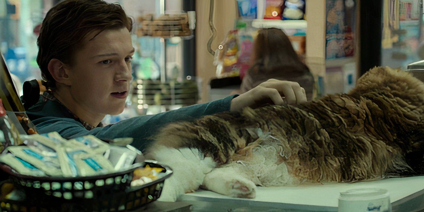 Tom Holland as Peter Parker patting cat in Spider-Man Homecoming