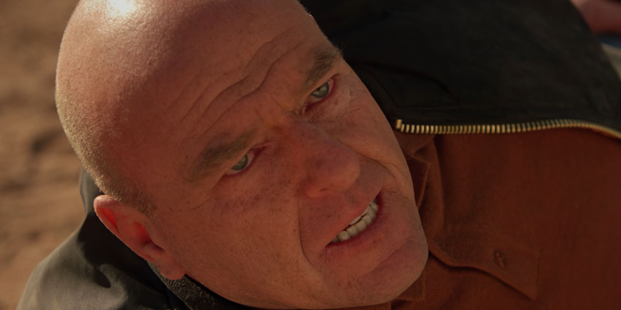 Dean Norris as Hank in Breaking Bad