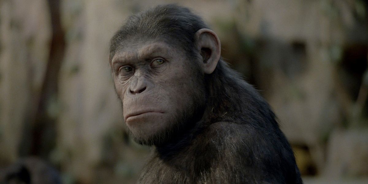 5 Great Movie Reboots Rise of the Apes