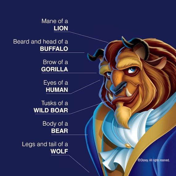 Animals that made The Beast in Beauty and the Beast