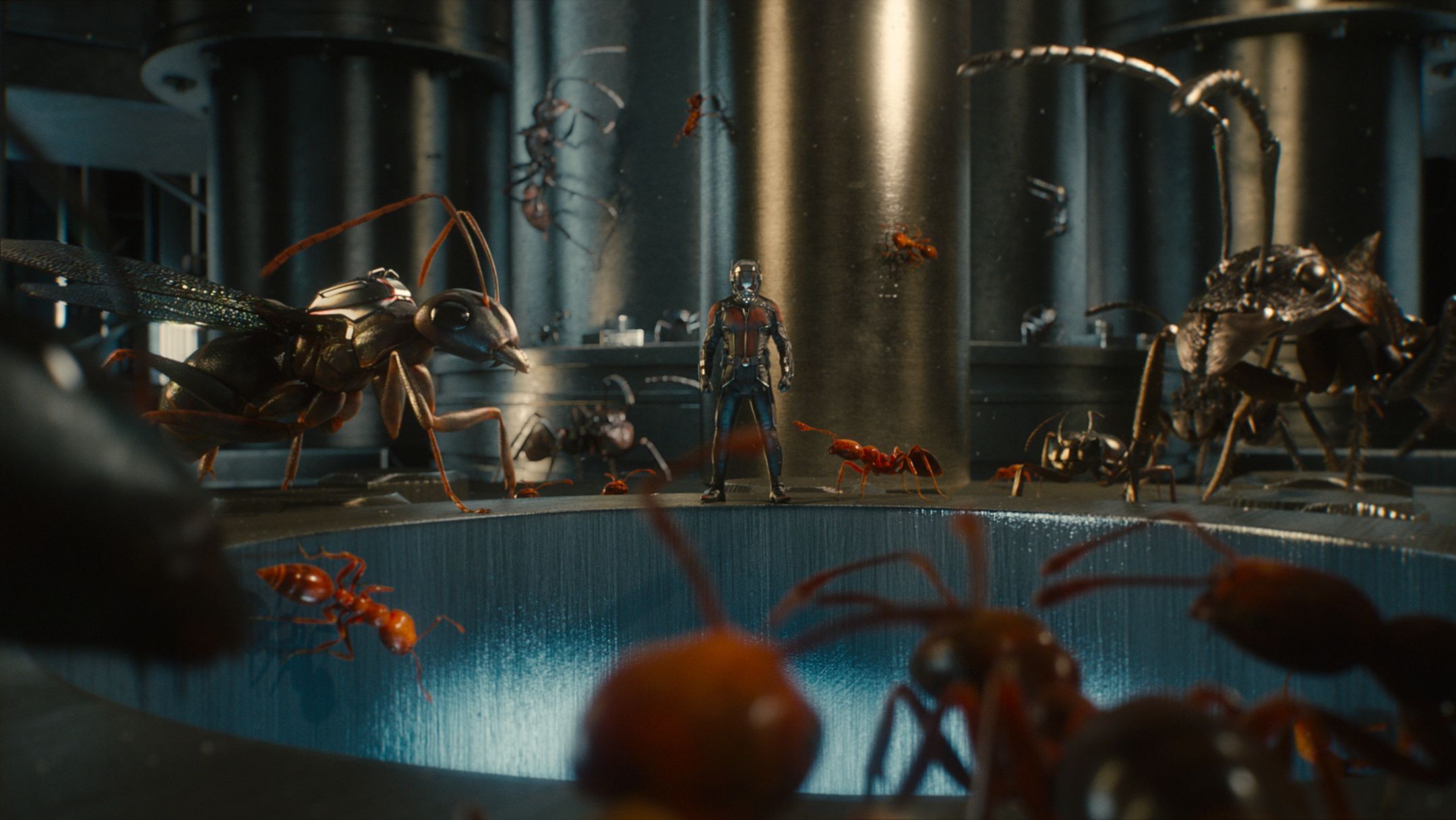 Ant-Man Microverse Photo - Ant Mix