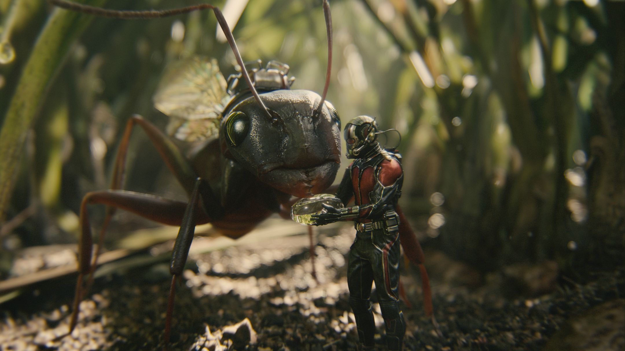 Ant-Man Microverse Photo - Antony Feeding