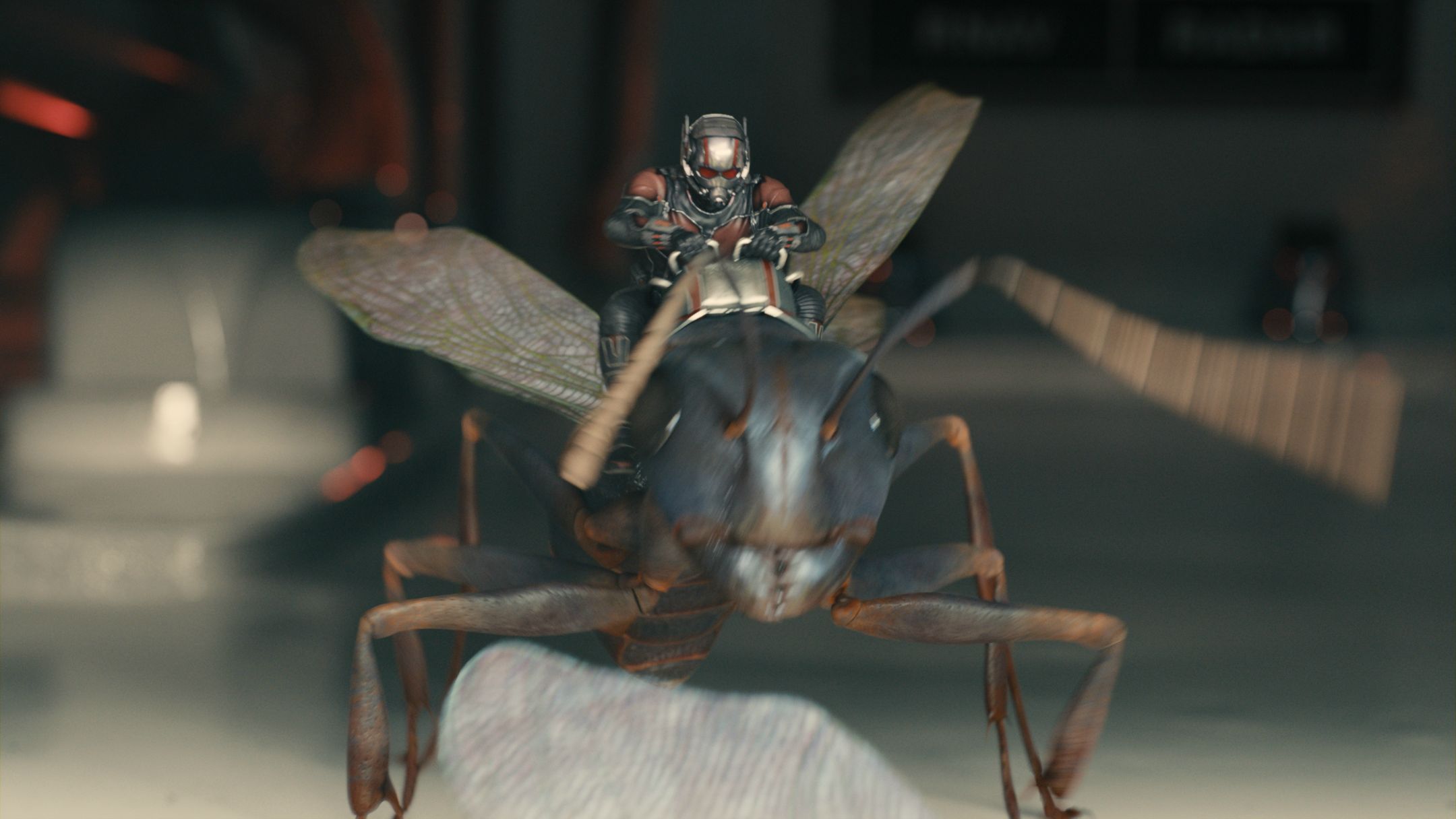 Ant-Man Microverse Photo - Antony Saddle