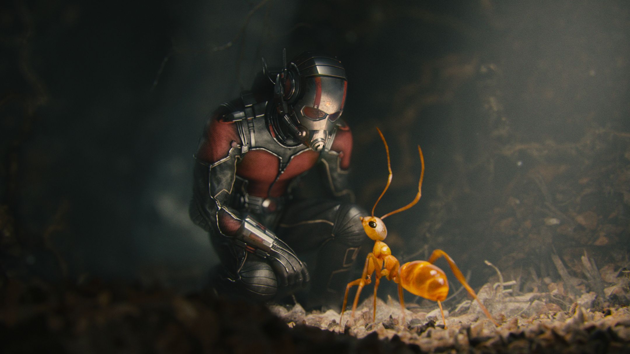 Ant-Man Microverse Photo - Fire Ant