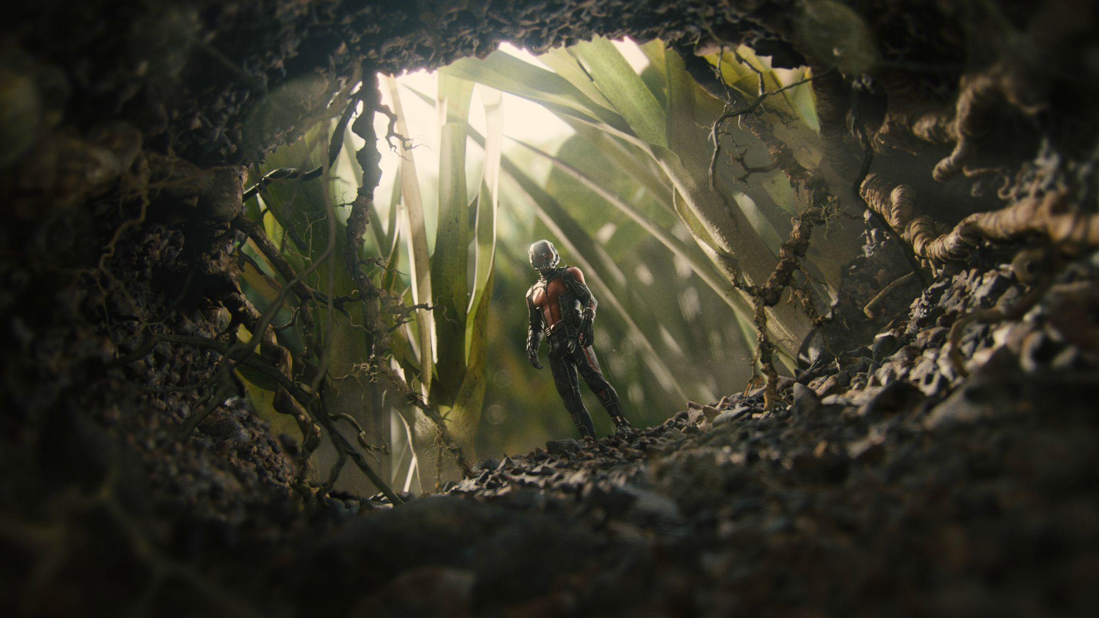Ant-Man Microverse Photo - Scott Lang finds Ant Nest