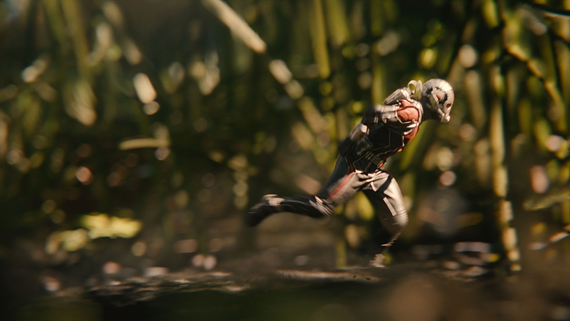 Ant-Man Microverse Photo - Scott Lang in Grass