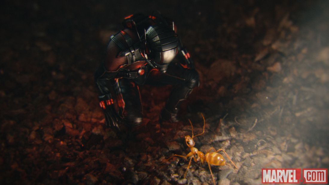 Ant-Man Movie - Ant-Man meets baby ant
